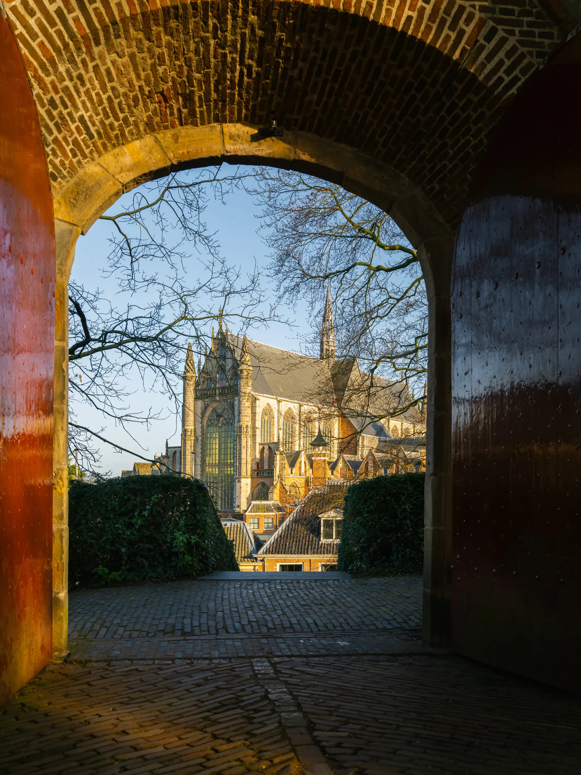 Hofwijk, Leiden
